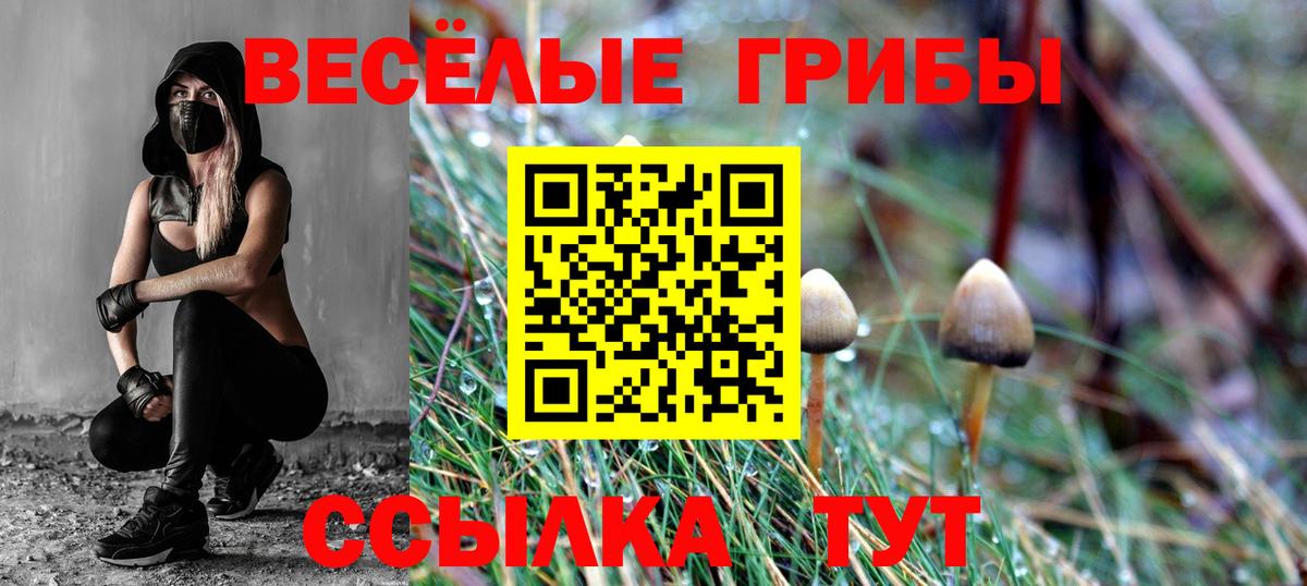 Псилоцибиновые грибы ЛСД Нововоронеж